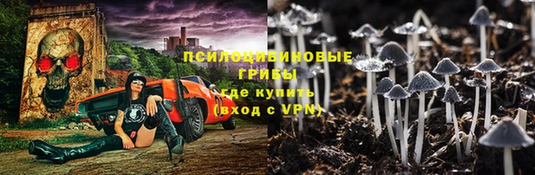 ECSTASY Абаза