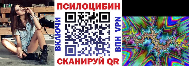 Псилоцибиновые грибы Psilocybe  Калачинск 